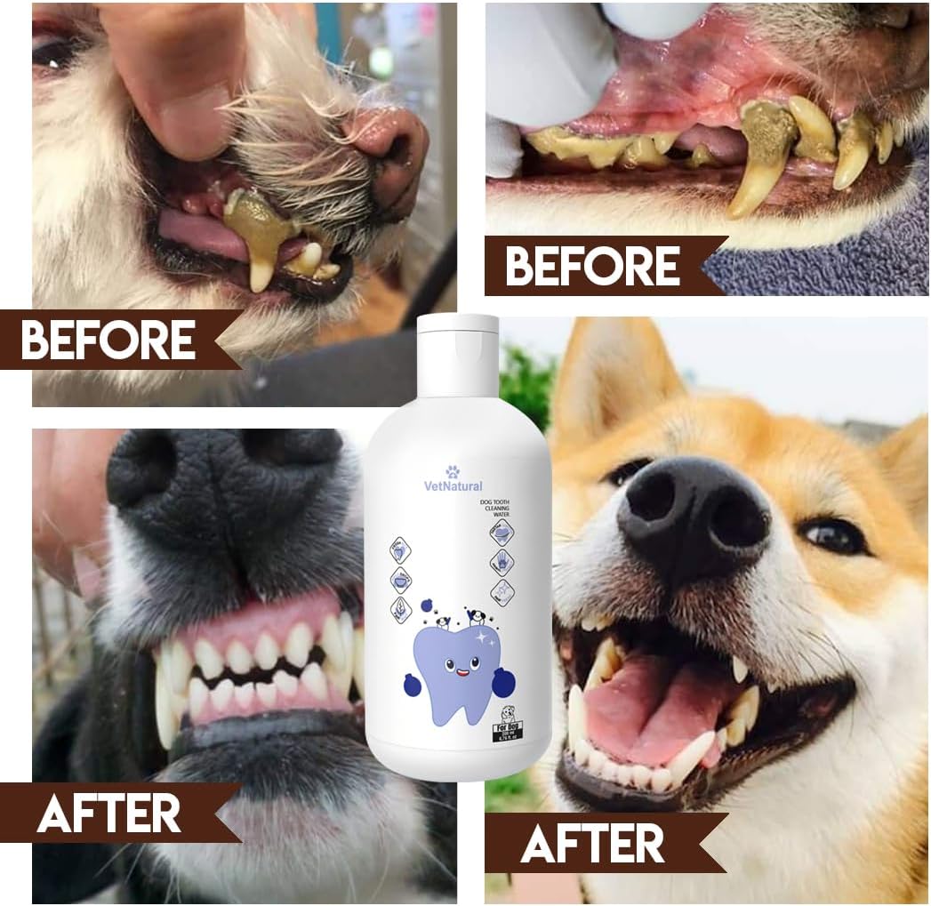PawBright VitaDental+