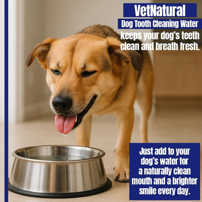 PawBright VitaDental+