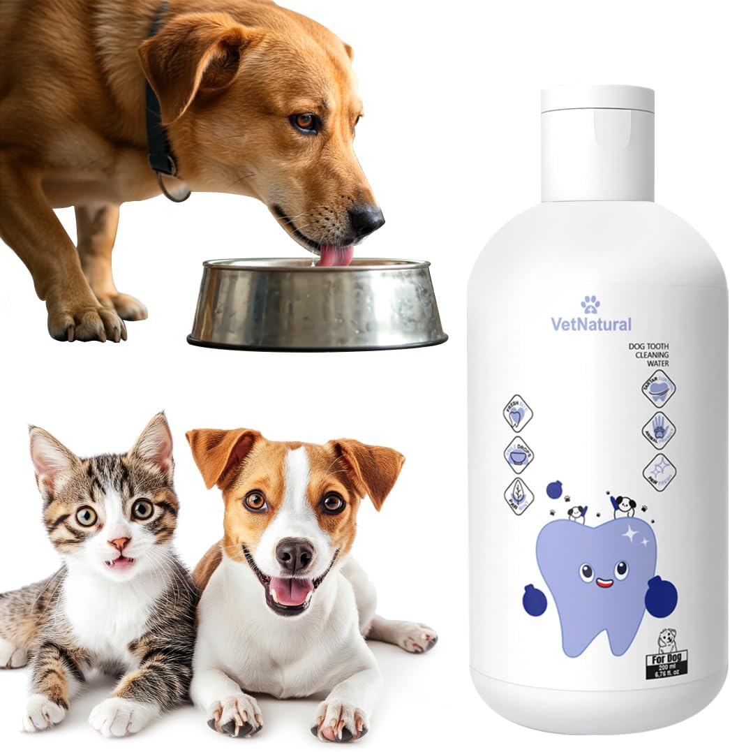 PawBright VitaDental+