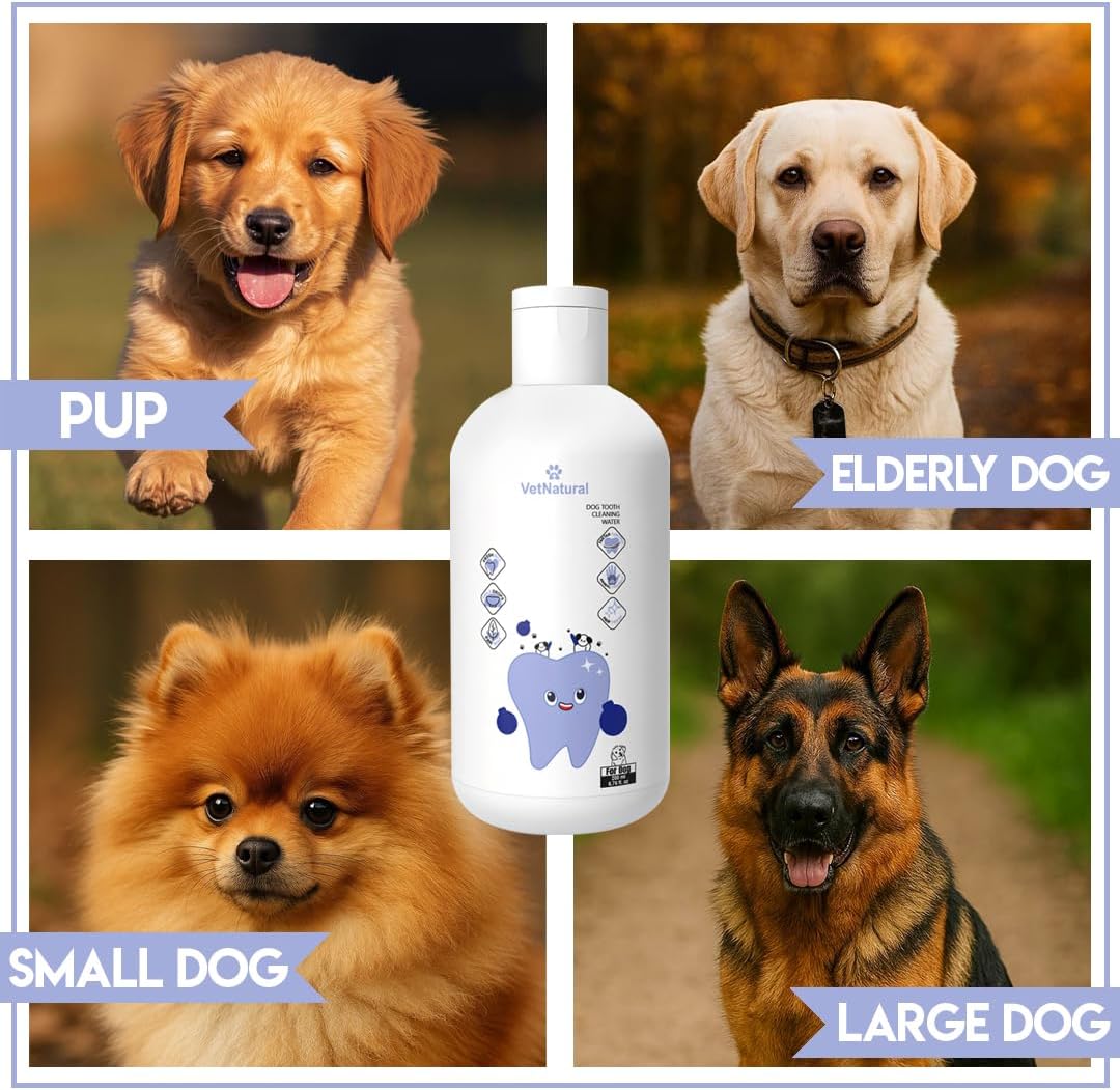 PawBright VitaDental+